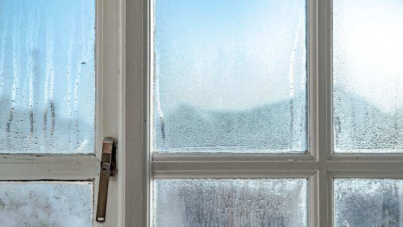 You can take simple steps to help lessen condensation in your home (Image: Getty Images/iStockphoto)