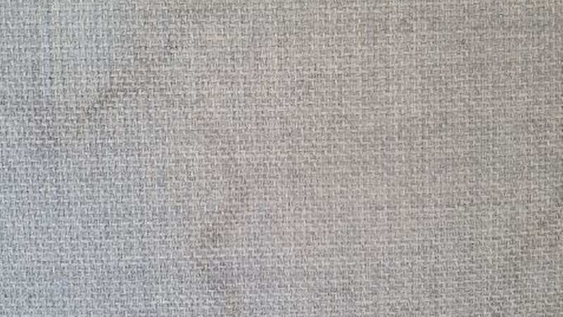 The woman was wondering what the stains on her sofa were (Image: Reditt)
