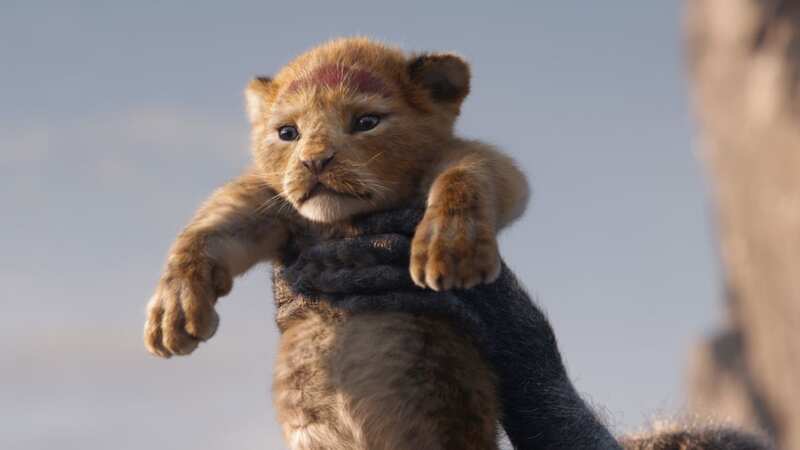 The dad begged people not to go and see the movie (Image: Â©2019 Disney Enterprises, Inc. All Rights Reserved.)
