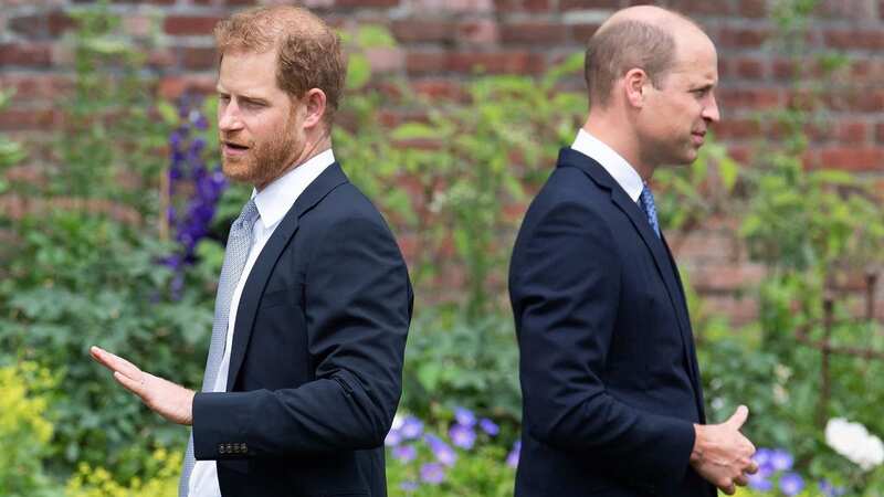 Prince Harry and Prince William have had a difficult relationship over the past few years (Image: POOL/AFP via Getty Images)