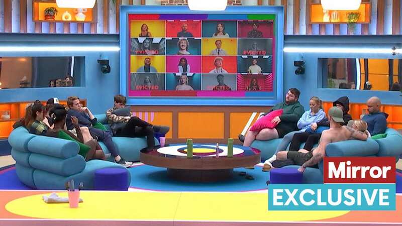 Big Brother housemates will 