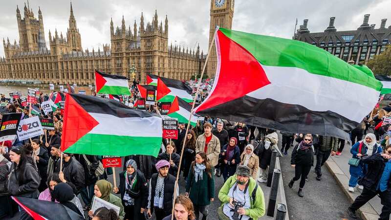 Pro-Palestine protest in central London (Image: Guy Bell/REX/Shutterstock)