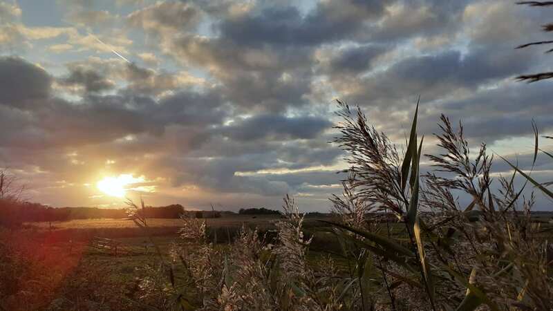 Walberswick is a beautiful village in Suffolk (Image: Cambridge News)