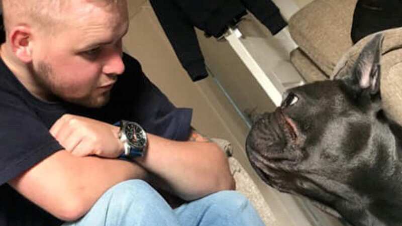 Stuart Hutchison, pictured with his French bulldog, Nero, died of cancer (Image: Hutchison family / SWNS)