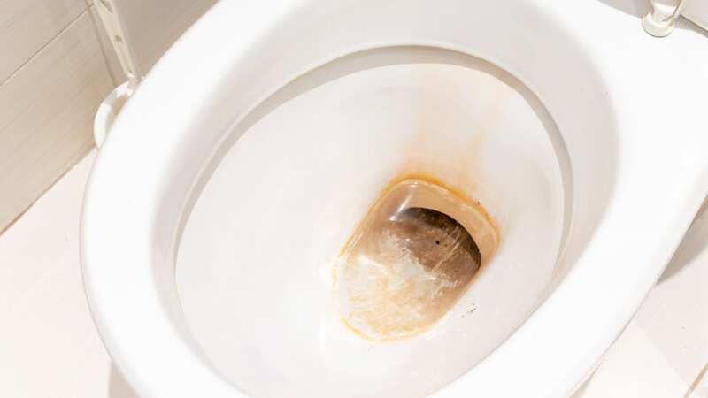 This cheap hack will remove any limescale stains from your toilet bowl (Stock Photo) (Image: Getty Images/iStockphoto)