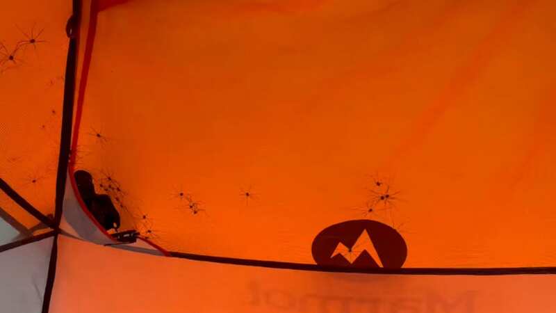 Camper makes nightmarish discovery after feeling movement in sleeping bag