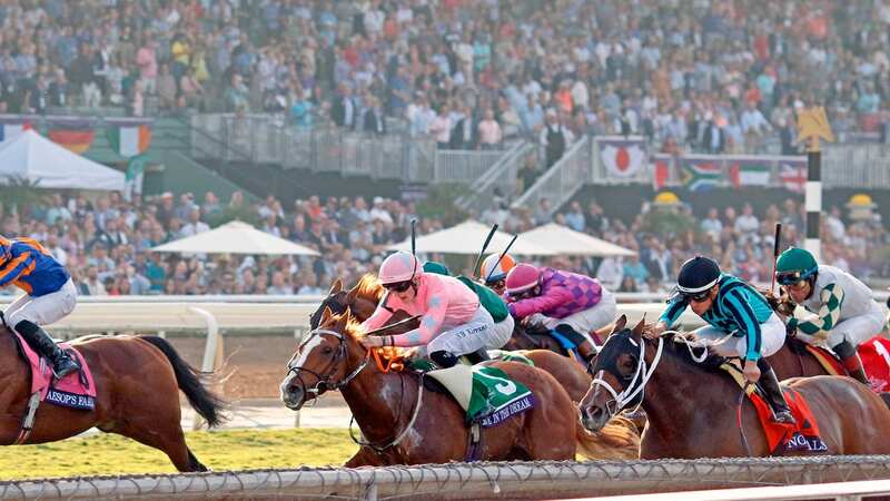 Live In The Dream was fourth in the Breeders