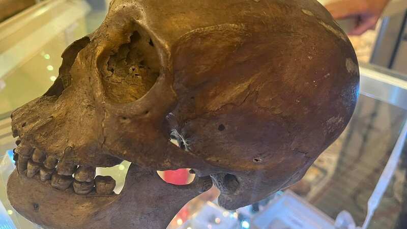 Major Crimes Unit detectives were notified of a skull located at a thrift store in North Fort Myers (Image: Lee County Sheriff’s Office /Facebook)