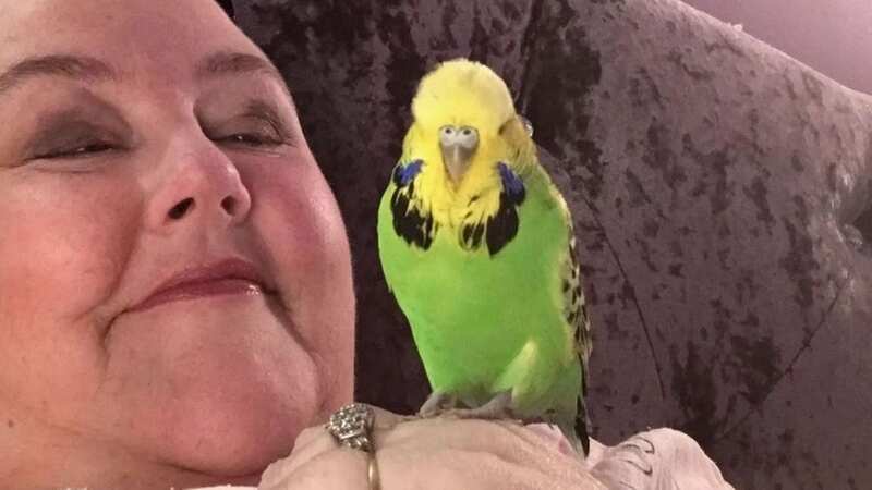Pamela tried to give the beloved bird CPR