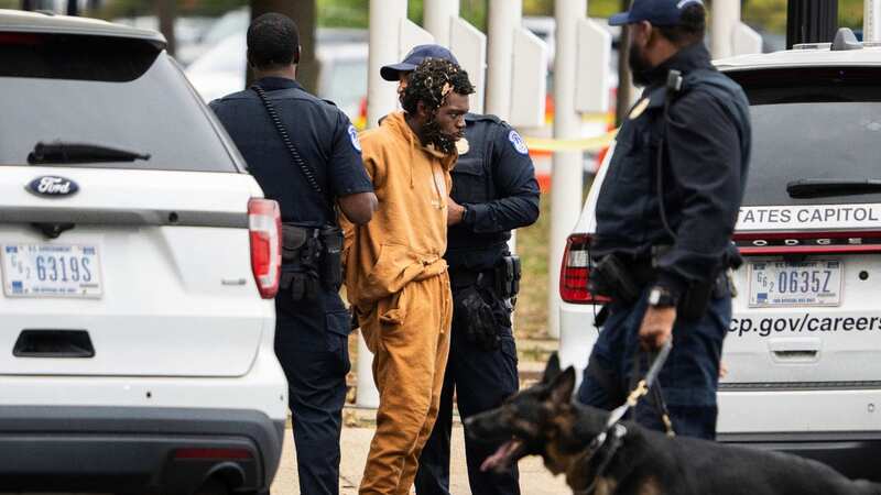 The suspect was arrested by police (Image: AP)