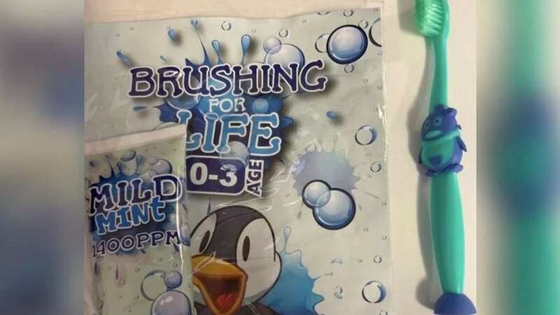 The Brushing For Life packs (Image: Hull Council)