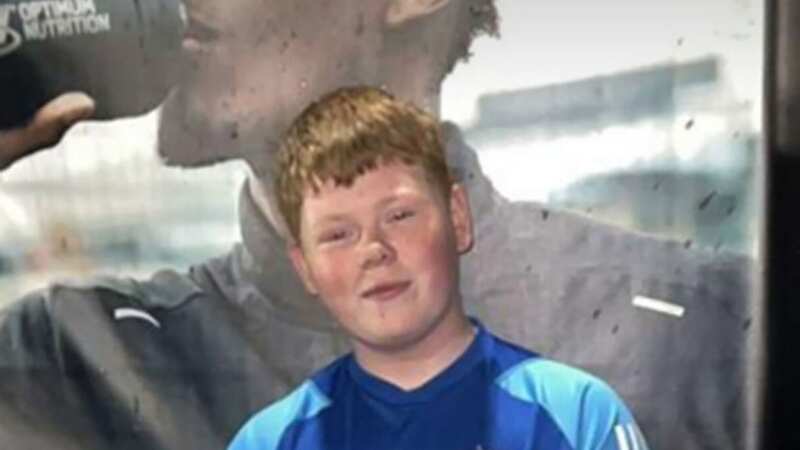 Alfie Lewis was stabbed to death (Image: PA)