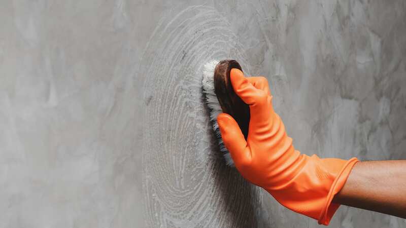 You should clean your walls once a year (stock image) (Image: Getty Images/500px)