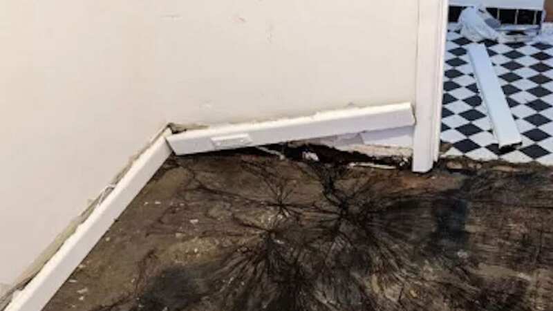 The woman was horrified when she lifted up her floorboards (Image: Facebook)