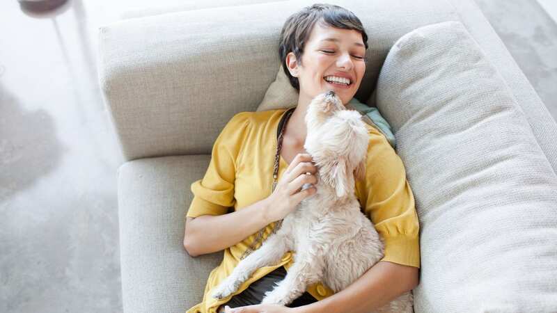We make mistakes with our dogs every day (stock photo) (Image: Getty Images/Image Source)
