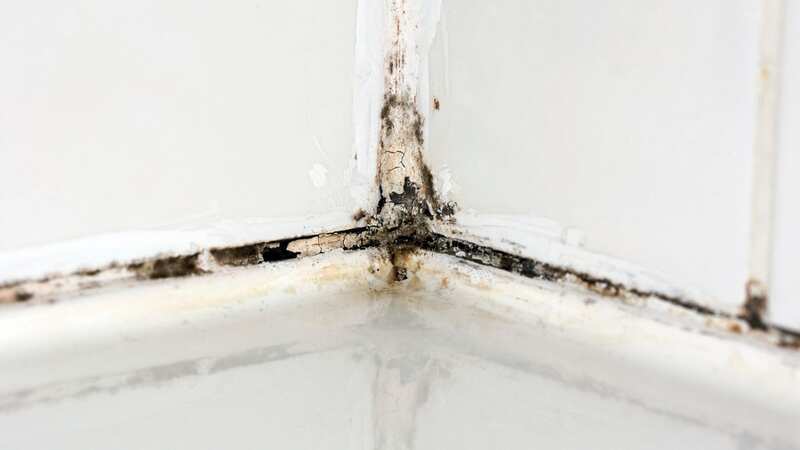 The silicone sealant can easily harbour black mould (Image: Getty Images/iStockphoto)
