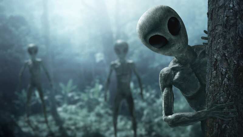 Aliens are already among us, but not in the form of little green creatures, an expert has said (Image: Getty Images/iStockphoto)