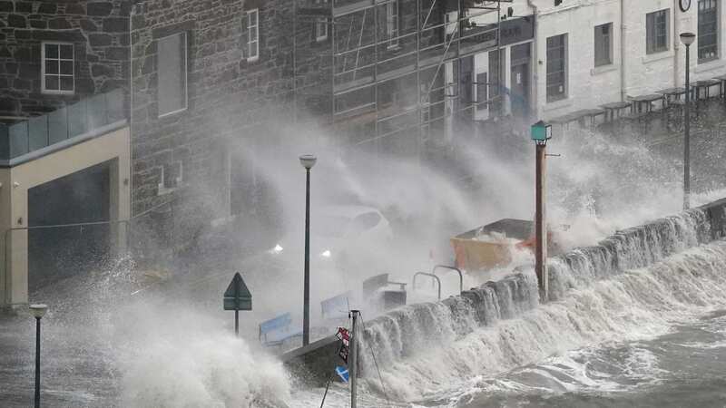 A fallen tree is pictured after recent gales in Brechin, Angus (Image: PA)