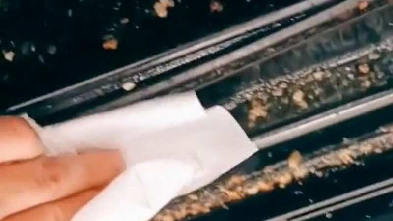 Nicole has shared her hack for deep-cleaning your oven (Image: Jam Press Vid/@nicolepaigelilly)
