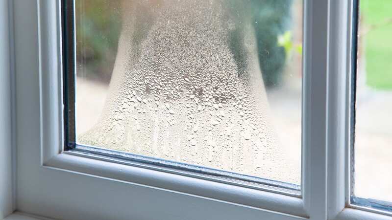 People have been raving about the easy tool to banish condensation easily (Image: Getty Images)