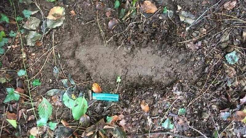 The footprint spotted in Wales (Image: Supplied)