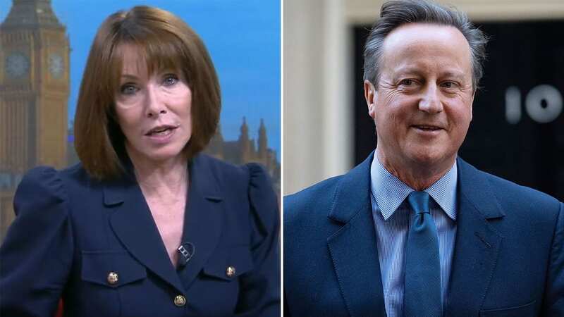 David Cameron brutally fat-shamed by Sky