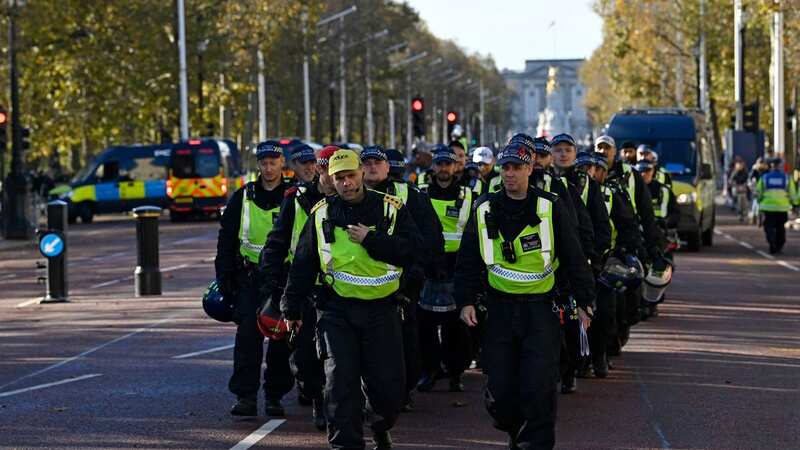 Police were met with disruption on Armistice Day over the weekend