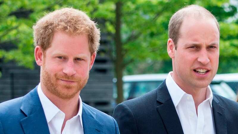 Prince Harry and Prince William have parted ways in recent times (Image: UK Press via Getty Images)