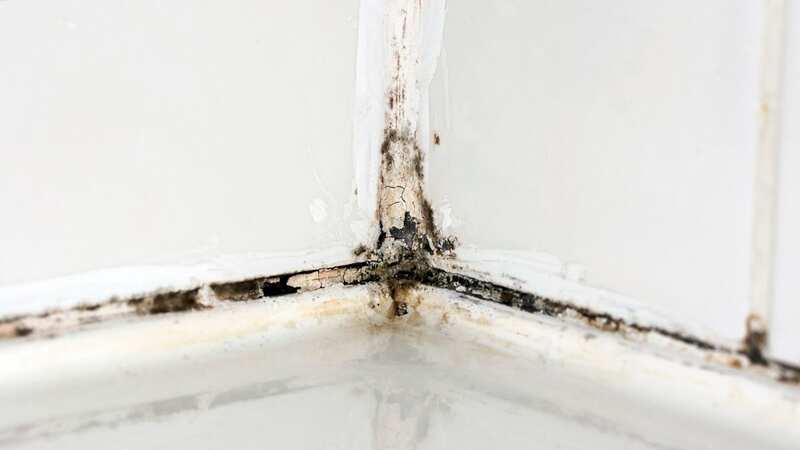 The miracle product will clean up mould in your bathroom sealant (Image: Getty Images/iStockphoto)