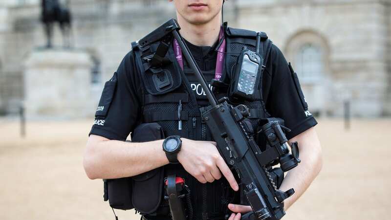 The Met warned Brits to remain vigilant, fearing that terrorists may choose to attack ahead of Christmas (Image: Getty Images)