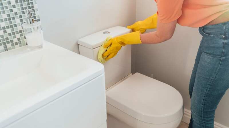 Cleaning experts hail one product 