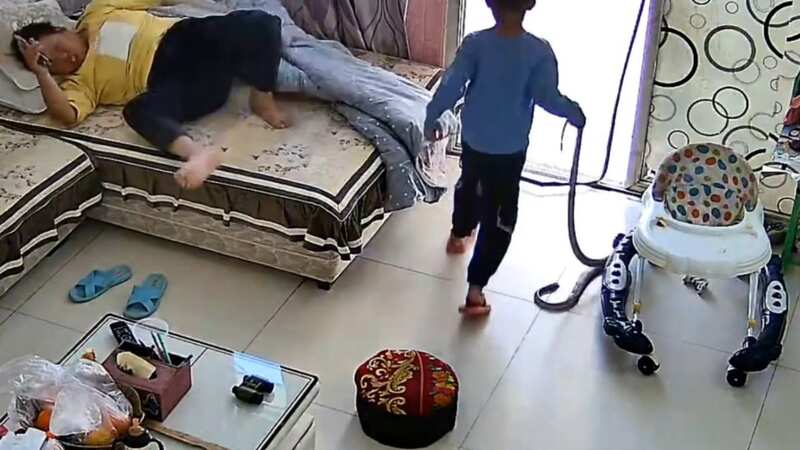 Moment fearless boy, six, hands sleeping grandmother a dangerous predator