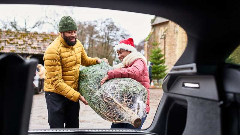 Transporting a Christmas tree that is too big to fit comfortably in the car can affect a driver