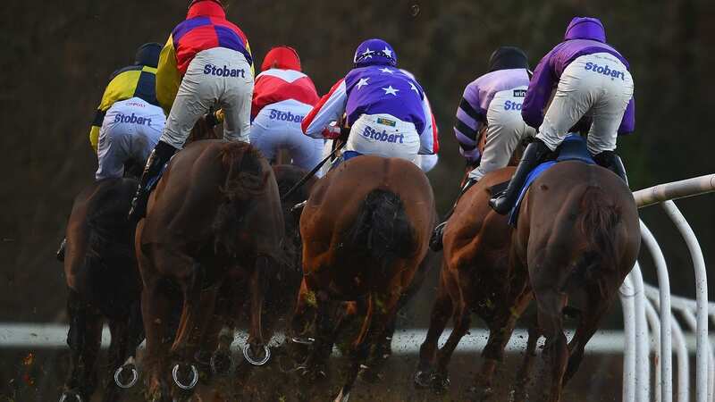 Exeter hosts an eight-race card on Monday, where Newsboy
