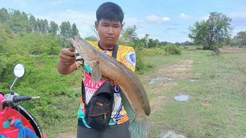 Chayathorn Thankrathok was lucky to survive after the accident when he was fishing (Image: ViralPress)