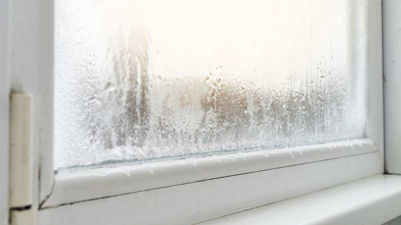 There are easy habits you can do to stop the condensation forming on your windows (Image: Getty Images/iStockphoto)