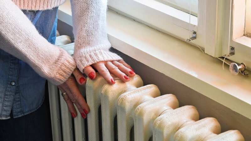 There are a few easy ways to maximise the heat from your radiators (Image: Getty Images/iStockphoto)