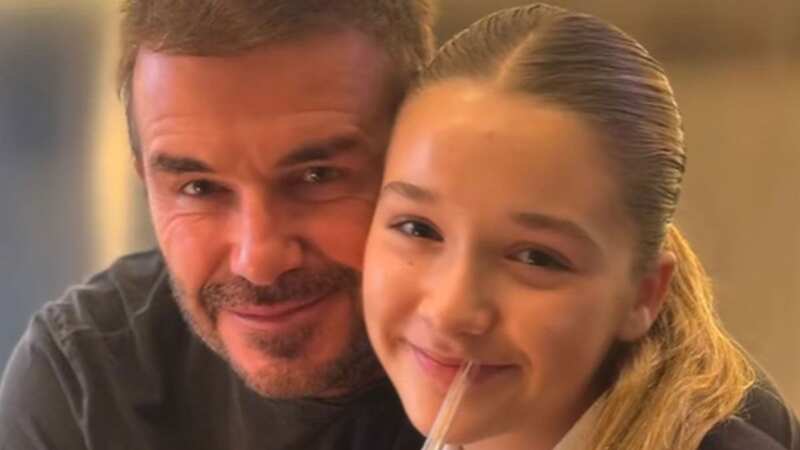 David Beckham doting on his daughter Harper