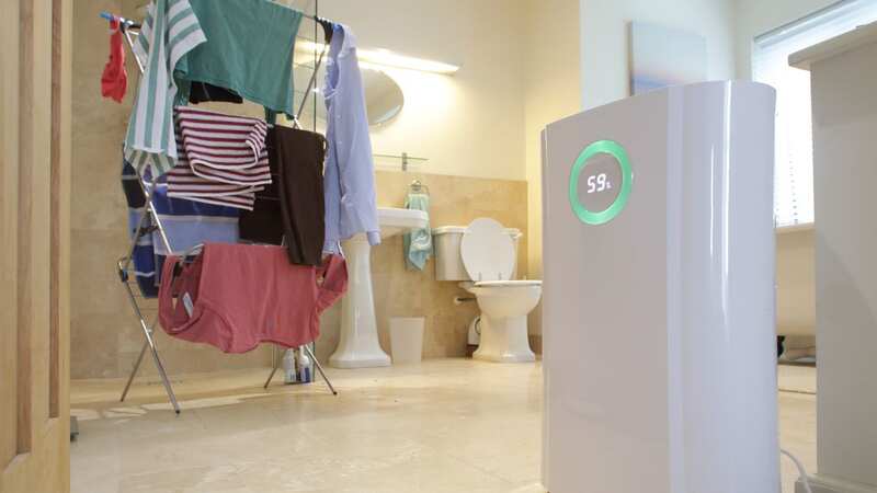 Dehumidifiers don