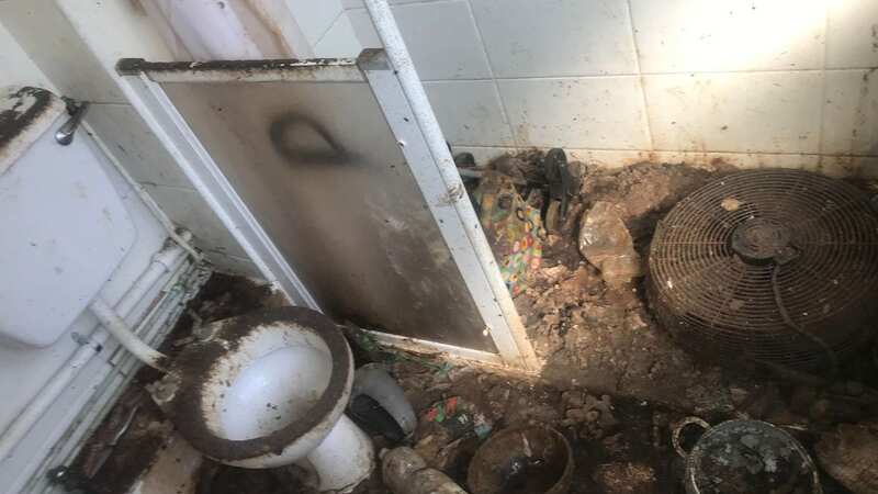 Conditions inside a house where RSPCA inspectors found 40 cats (Image: RSPCA Wirral)