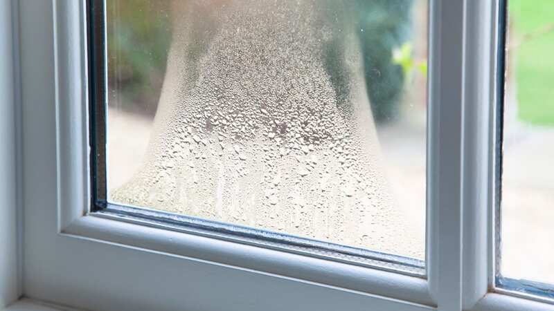 Condensation can lead to mould if untreated (Image: Getty Images)