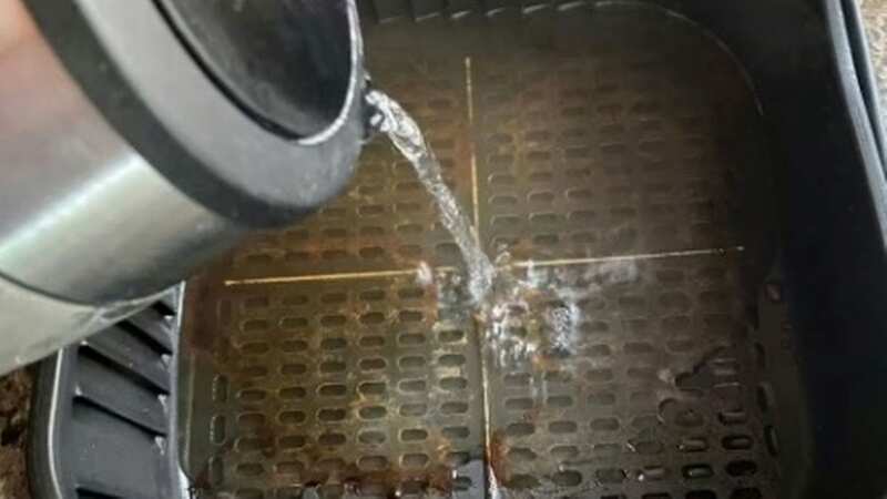 Air fryers can become horribly greasy after use (stock image) (Image: EXPRESS)