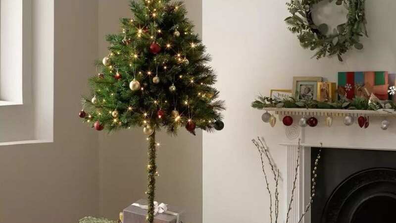 Pet owners have said this parasol tree is 