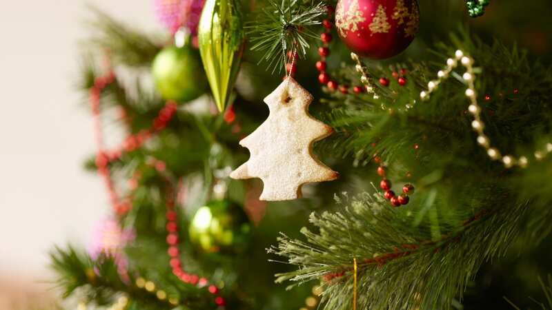 The countdown to Christmas is on as supermarkets slash the prices of their Nordmann firs (Image: Getty Images/Image Source)