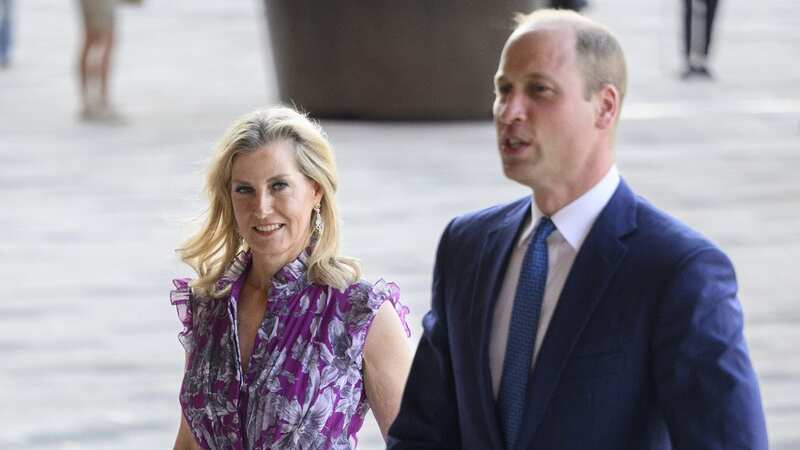 Prince William signalled his closeness with Sophie at a royal engagement (Image: Tim Rooke/REX/Shutterstock)