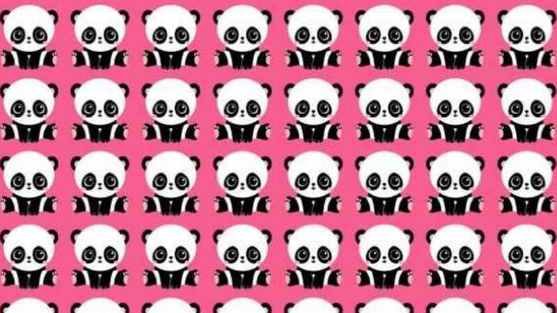 Can you spot the odd one out (full image below) (Image: Brightside)