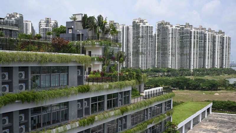 Forest City in Malaysia is largely devoid of life (Image: AFP via Getty Images)