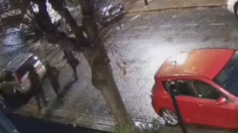 Jewish woman kicked in the head and left 
