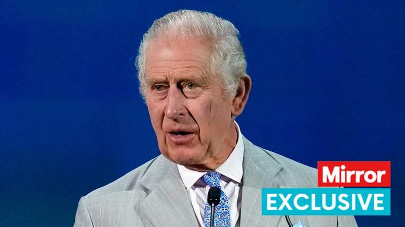 King Charles at COP28 (Image: AP)
