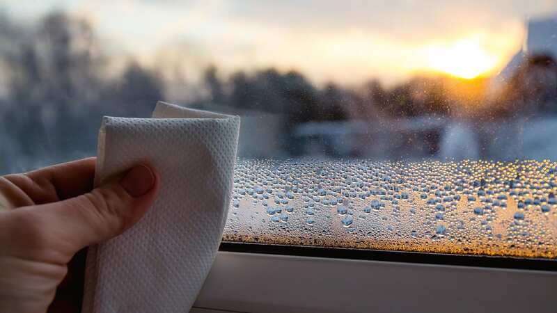 Moisture build-up on windows can become a real problem (Image: Getty Images/iStockphoto)
